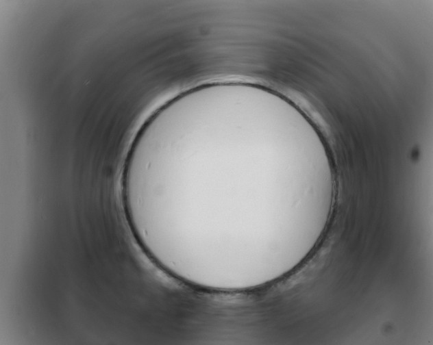 X0000102231189200807250801