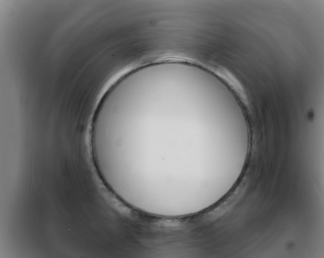 X0000102231190200807250801