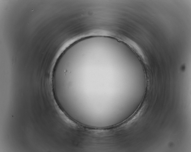 X0000102231192200807250801