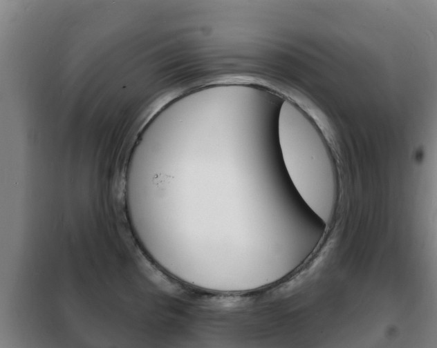 X0000102231193200807250801