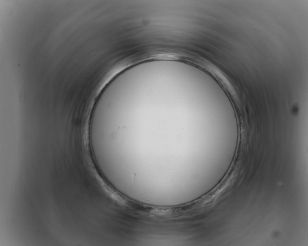X0000102231194200807250801