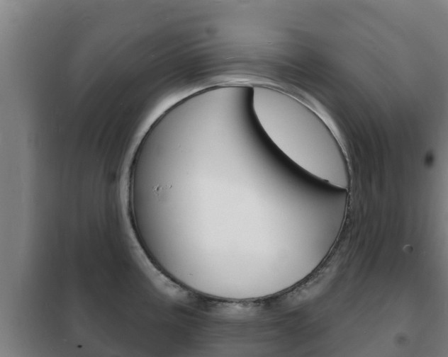 X0000102231195200807250801