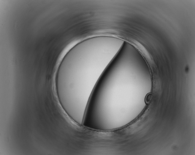 X0000102231196200807250801