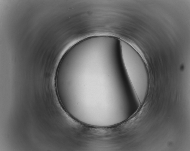 X0000102231197200807250801