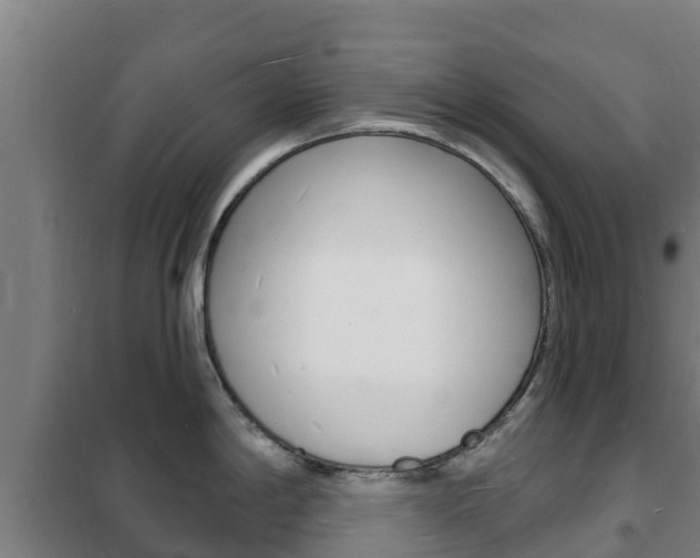 X0000102231198200807250801