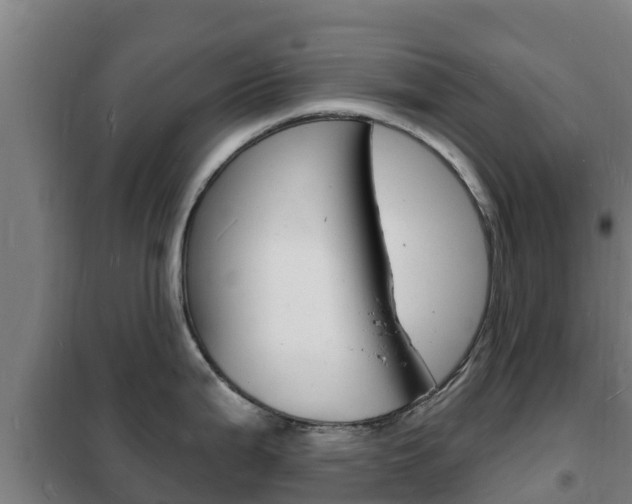 X0000102231199200807250801