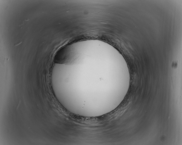 X0000102231201200807250801