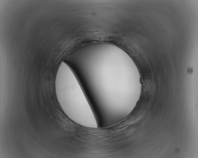 X0000102231202200807250801