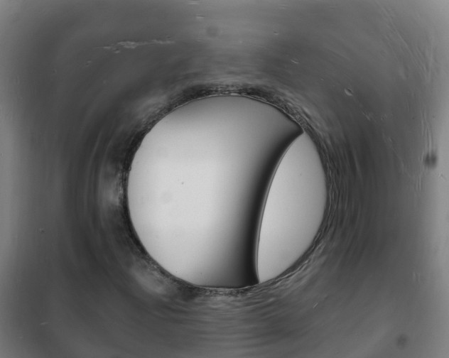 X0000102231204200807250801