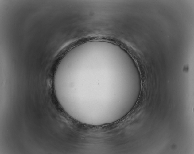 X0000102231206200807250801