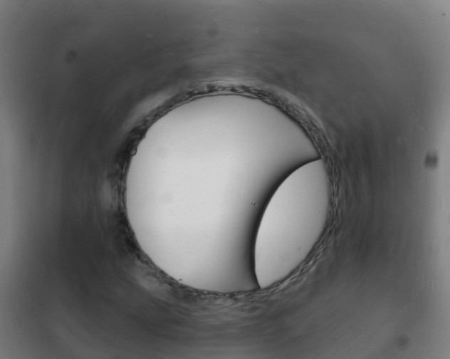 X0000102231207200807250801