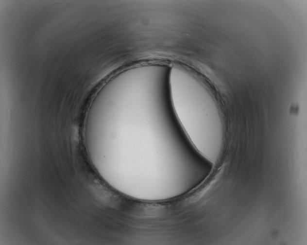 X0000102231209200807250801