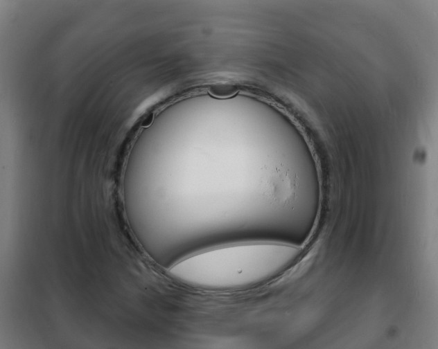 X0000102231210200807250801