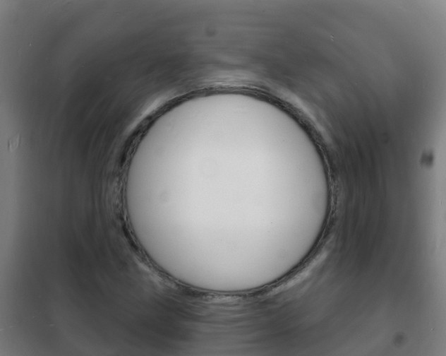 X0000102231211200807250801