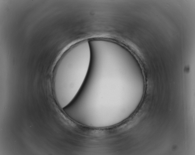 X0000102231212200807250801