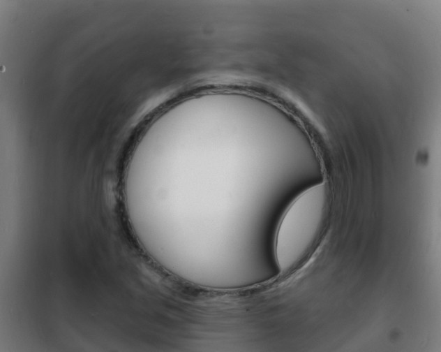 X0000102231213200807250801