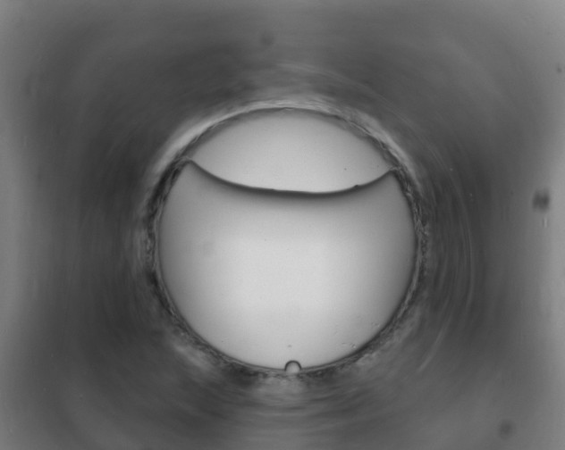X0000102231215200807250801