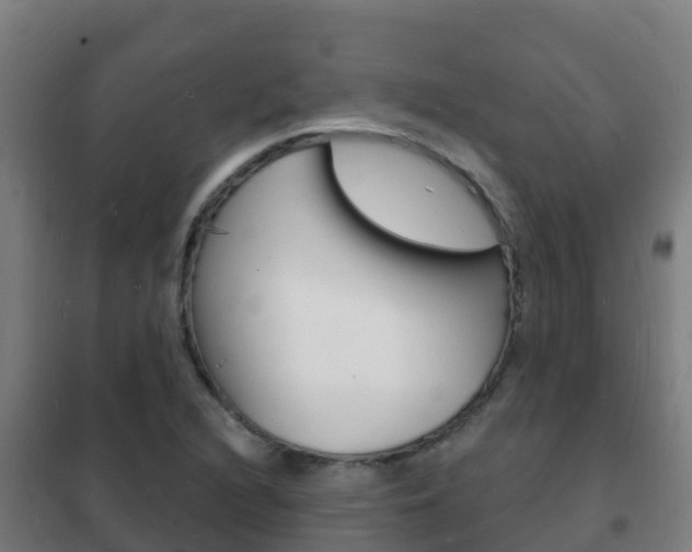 X0000102231216200807250801