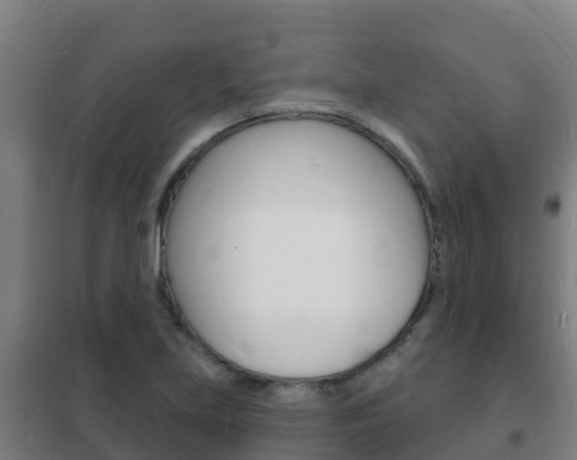 X0000102231219200807250801