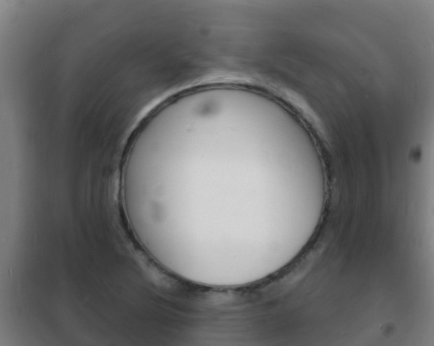 X0000102231220200807250801