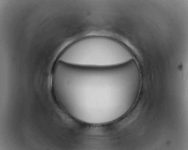 X0000102231221200807250801
