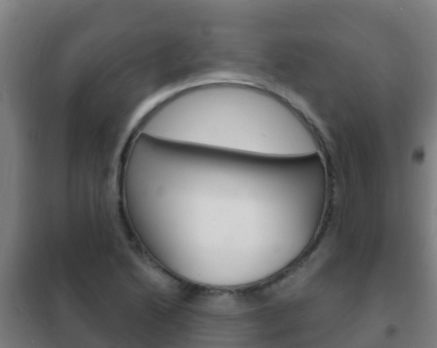 X0000102231222200807250801