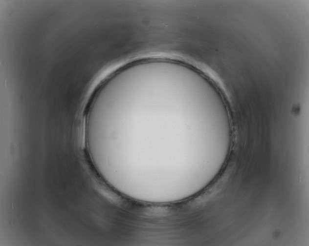 X0000102231223200807250801