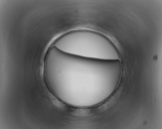 X0000102231224200807250801