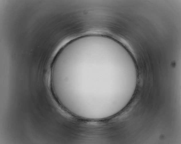 X0000102231227200807250801