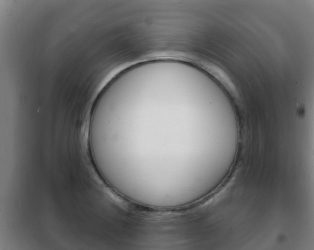 X0000102231228200807250801