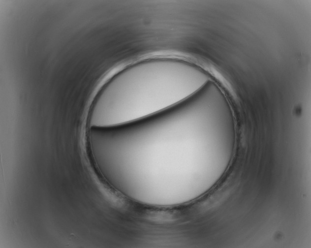 X0000102231229200807250801