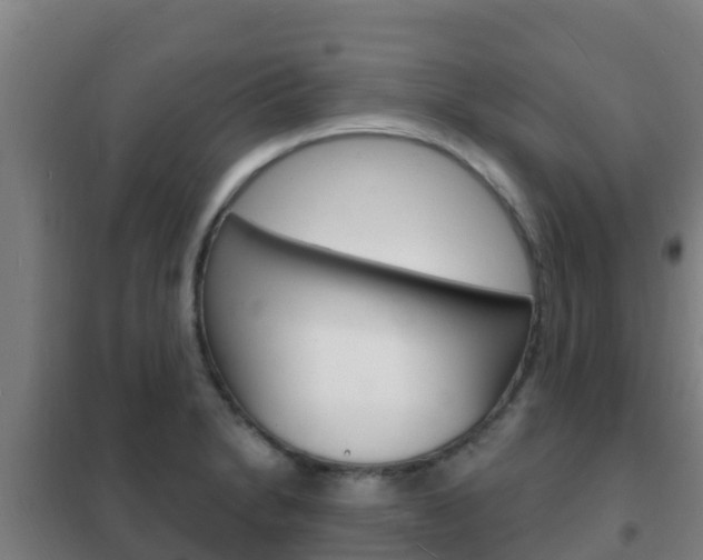 X0000102231230200807250801