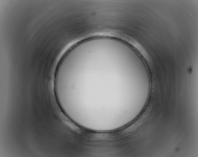 X0000102231232200807250801