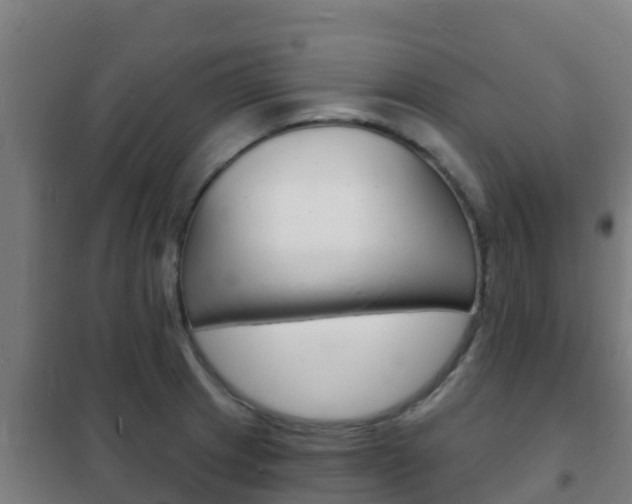 X0000102231233200807250801