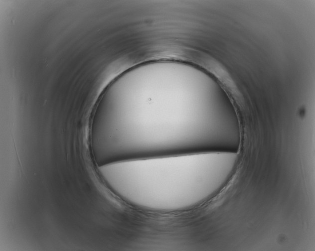 X0000102231234200807250801
