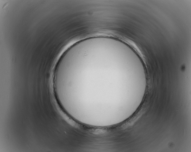 X0000102231235200807250801