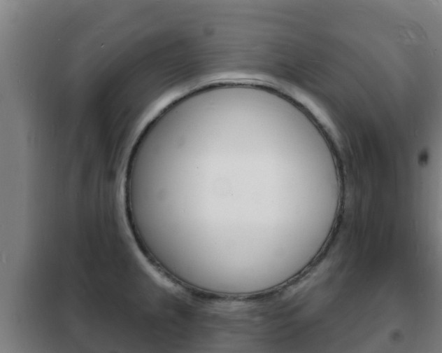 X0000102231237200807250801