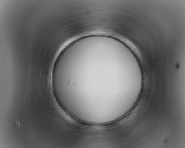 X0000102231238200807250801