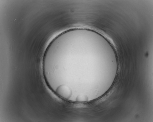 X0000102231239200807250801