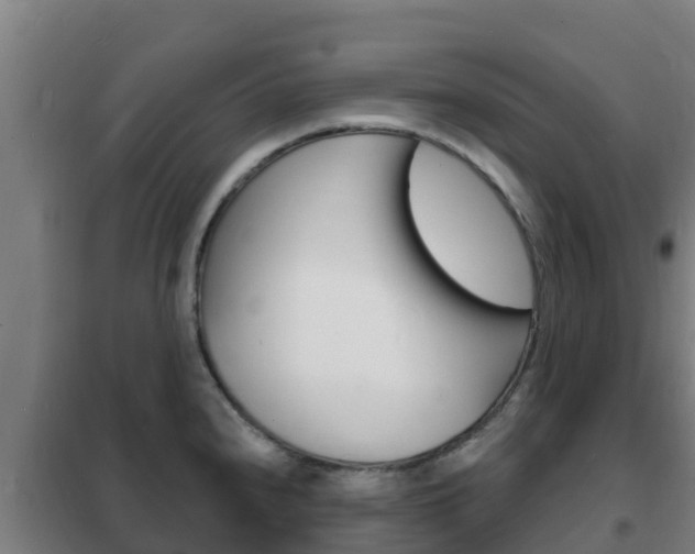 X0000102231240200807250801