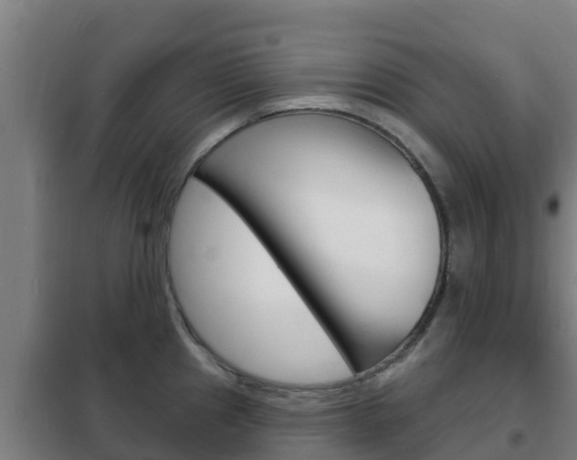 X0000102231241200807250801