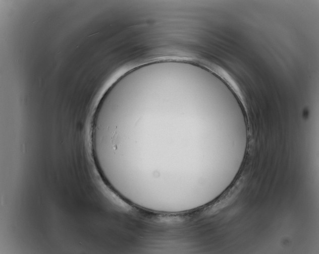 X0000102231243200807250801