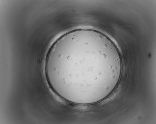 X0000102231245200807250801