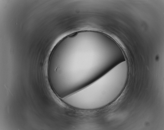 X0000102231246200807250801