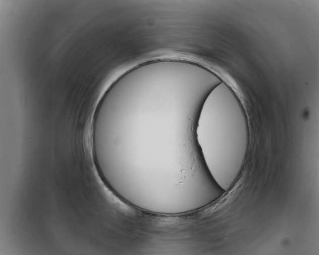 X0000102231247200807250801