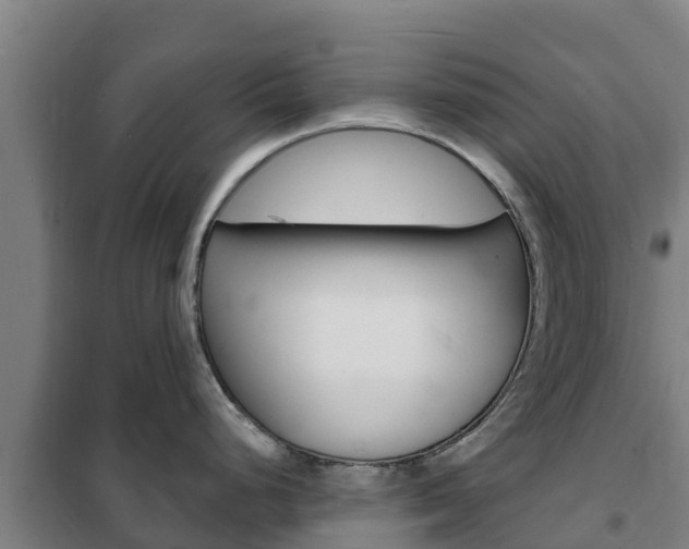 X0000102231248200807250801