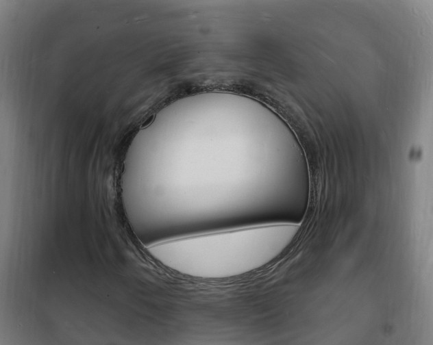 X0000102231250200807250800