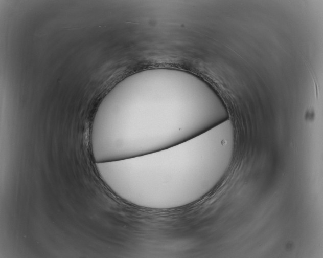 X0000102231251200807250800