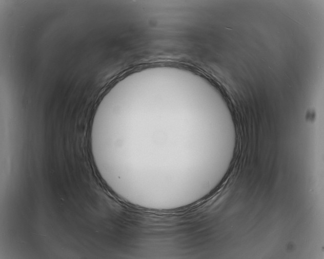 X0000102231252200807250800