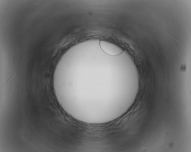 X0000102231253200807250800